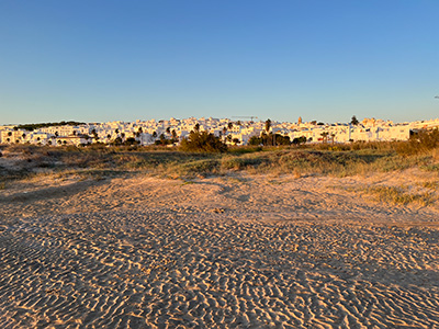 Conil