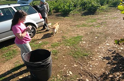 Vendimia y mundial de cliclismo en Ponferrada