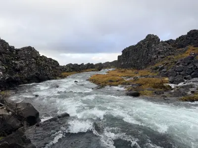 20261004_093526
