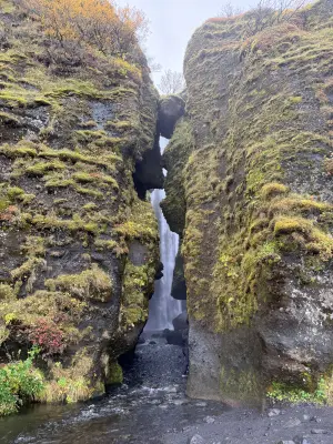 20261005_090543