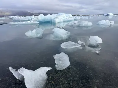 20261007_121415
