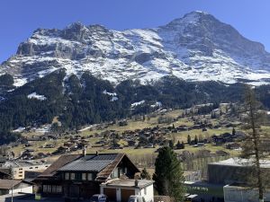 Portada de Grindelwald