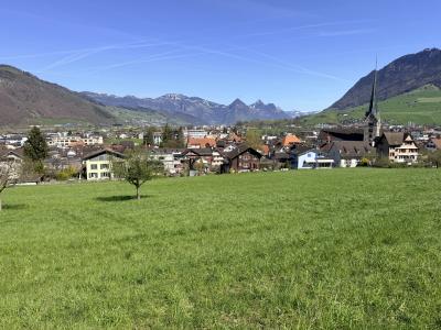 Lucerna