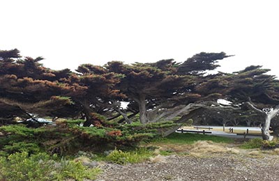 Great Ocean Road