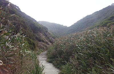 Great Ocean Road