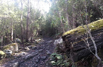 Tasmania