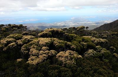 Tasmania