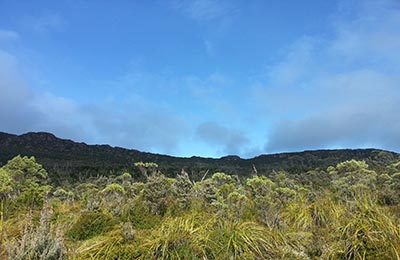 Tasmania