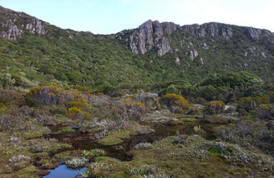 Tasmania