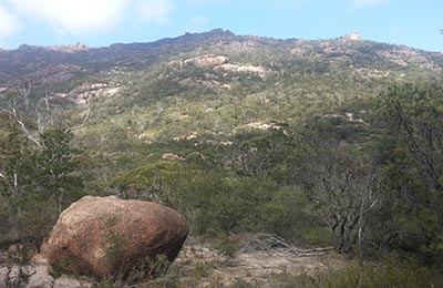 Tasmania