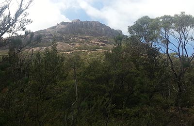 Tasmania