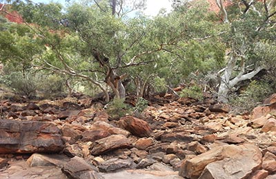 Uluru