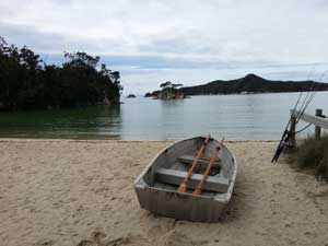 abel np y punakaiki