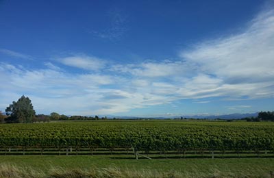 Abel NP y Punakaiki