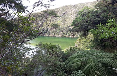 Abel NP y Punakaiki