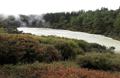 Rotoura y Tongariro NP