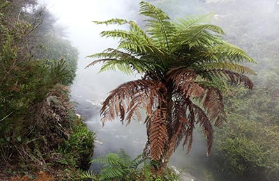 Rotoura y Tongariro NP