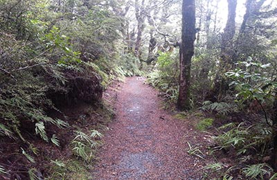 Rotoura y Tongariro NP