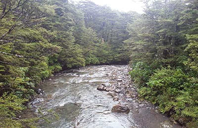 Rotoura y Tongariro NP