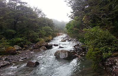 Rotoura y Tongariro NP