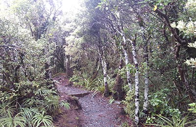 Rotoura y Tongariro NP