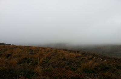 Rotoura y Tongariro NP