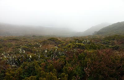 Rotoura y Tongariro NP