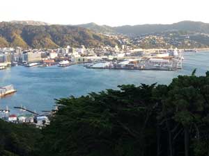 wellington