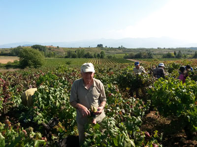 Cacabelos