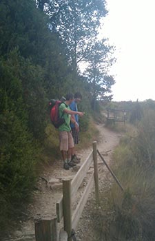 Camino de Santiago