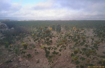 Camino de Santiago