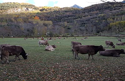 Benasque 3 cascadas