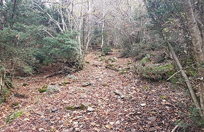 Benasque Ibón de Cregüeña