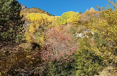 Benasque refugio de Estós