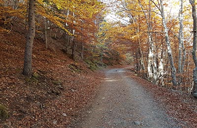 Refugio de Estós