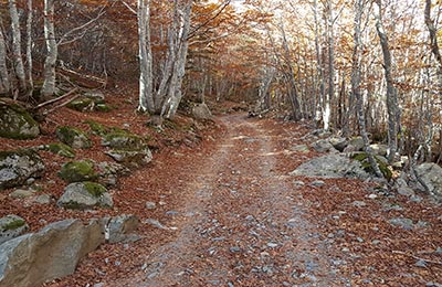 Benasque refugio de Estós