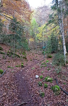 Ordesa y Monte Perdido