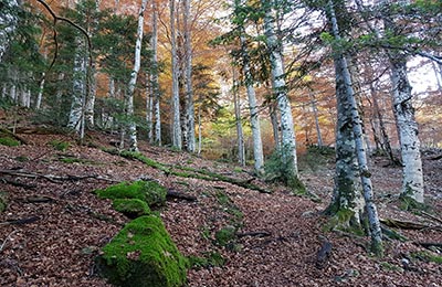 Ordesa y Monte Perdido