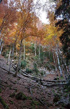 Ordesa y Monte Perdido