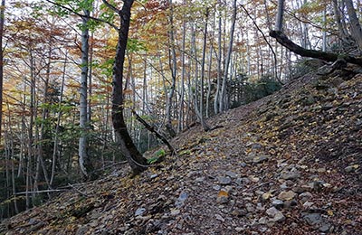 Ordesa y Monte Perdido