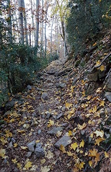 Ordesa y Monte Perdido