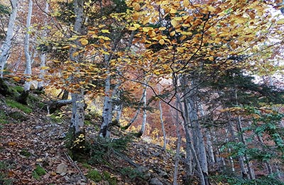 Ordesa y Monte Perdido