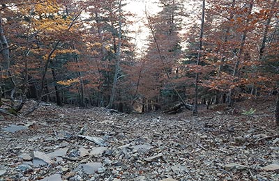 Ordesa y Monte Perdido