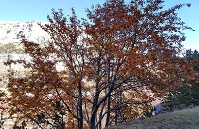 Ordesa y Monte Perdido