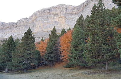 Ordesa y Monte Perdido