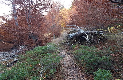 Ordesa y Monte Perdido