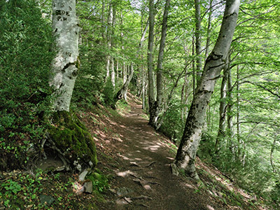 Panticosa rutas