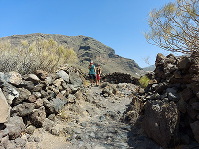 tenerife muchachos