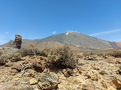 tenerife muchachos