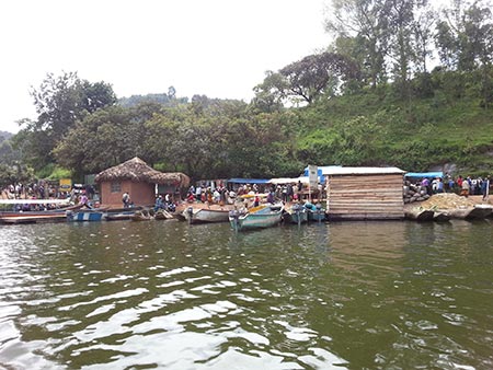 Bunyonyi